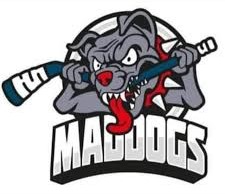Bristol Maddogs